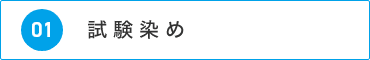 試験染め